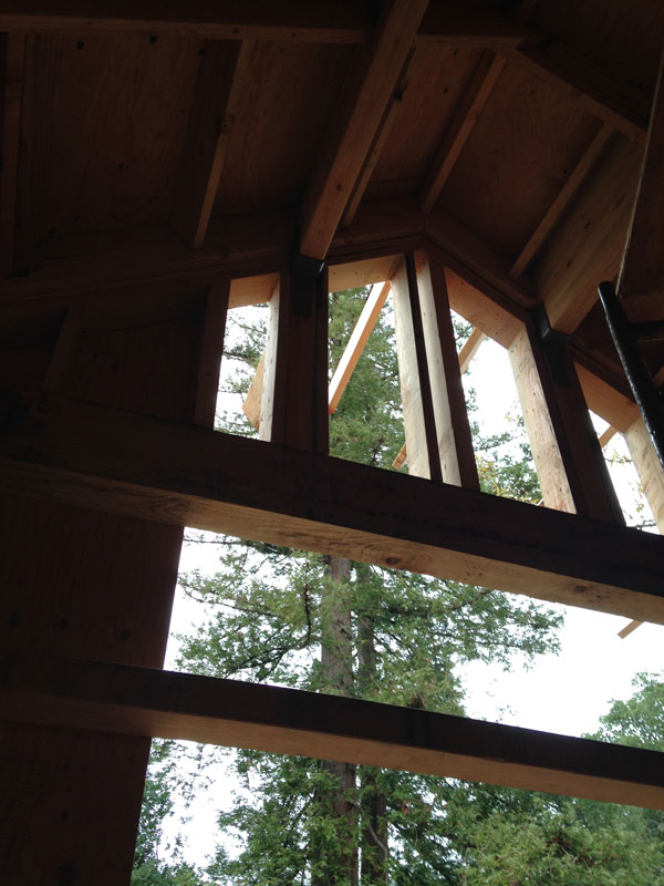 Interior of partially built wall with windows looking at trees