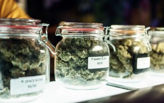 cannabis jars in cannabis dispensary