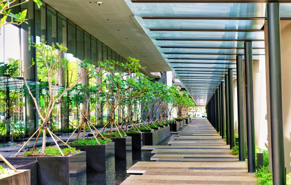 Hallway of modern building with glass ceiling and green plants