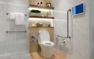 bathroom retrofit toilet