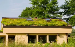 Modern home with living roof and solar panels.