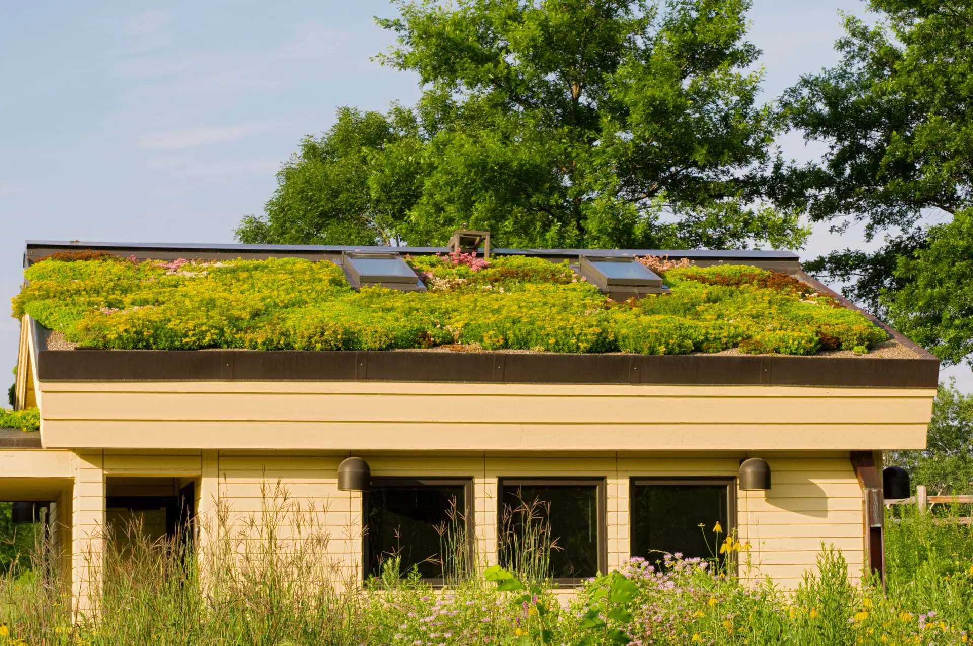 Modern home with living roof and solar panels.