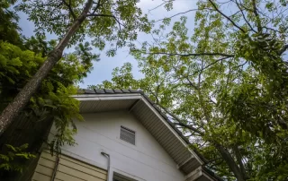 Top part of white house with trees overhanging the roof