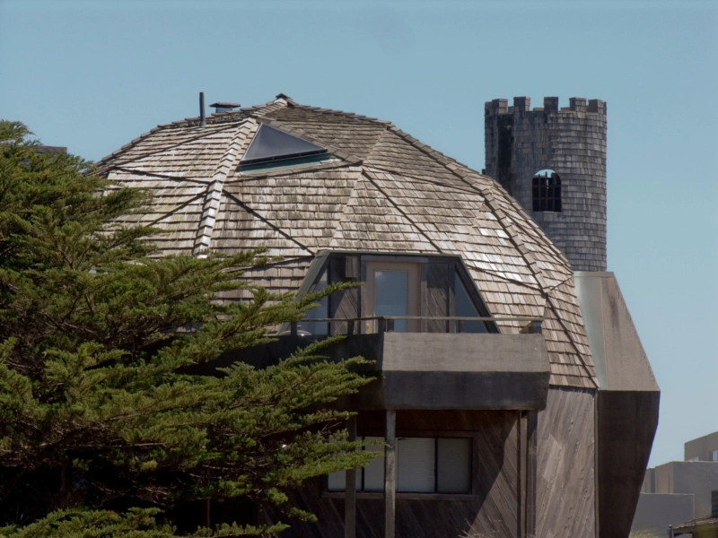 Modern wood house with dome shape