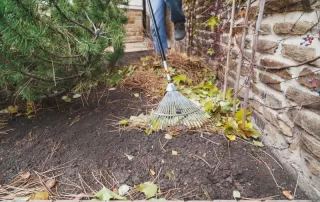 A person rakes leaves from a dirt yard next to a brick wall.