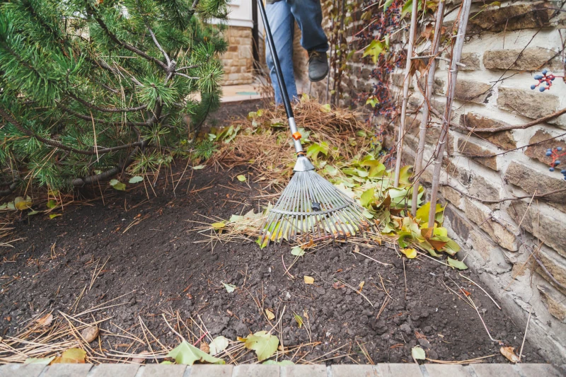 A person rakes leaves from a dirt yard next to a brick wall.