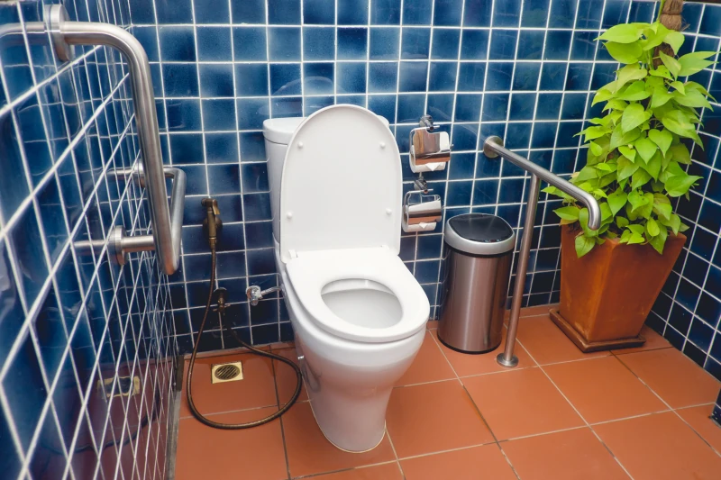 Blue-tiled bathroom with white toilet surrounded by chrome grab bars.