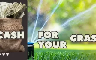 Two images: bag with dollars coming out of it; green lawn with water sprinkler and legend: "Cash for Your Grass."