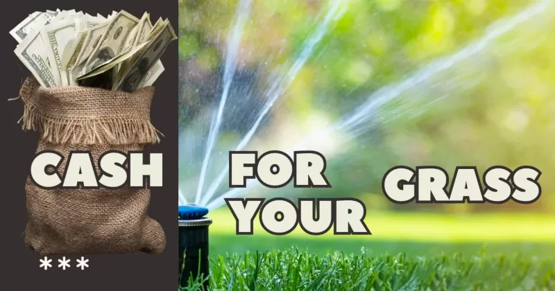 Two images: bag with dollars coming out of it; green lawn with water sprinkler and legend: "Cash for Your Grass."